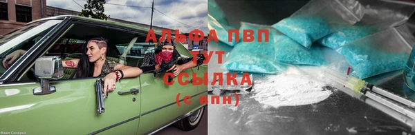 гашик Алексеевка